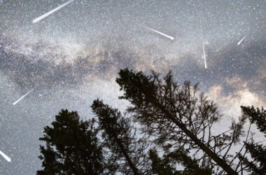 Perseid Meteor Shower Watch Guide