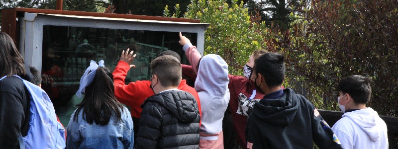 Group of students during a field trip at Chabot. 
